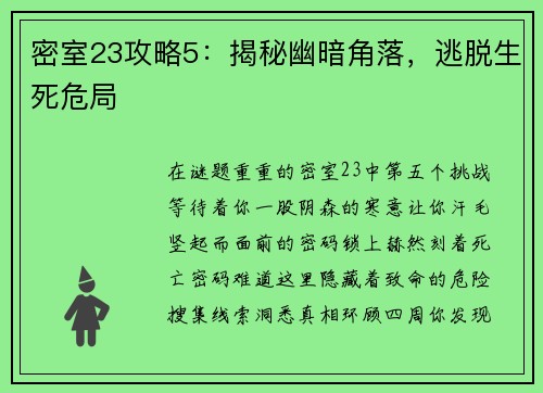 密室23攻略5：揭秘幽暗角落，逃脱生死危局
