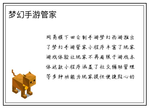 梦幻手游管家