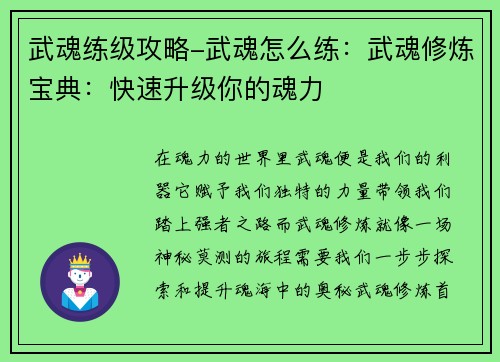 武魂练级攻略-武魂怎么练：武魂修炼宝典：快速升级你的魂力