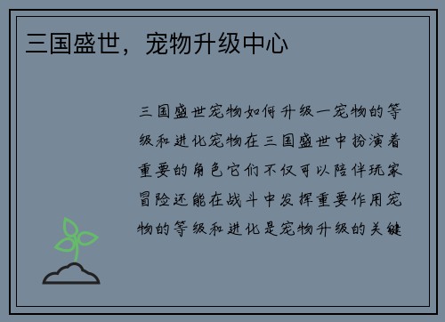 三国盛世，宠物升级中心
